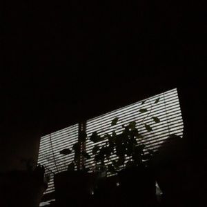 Meet your Posher, Ada